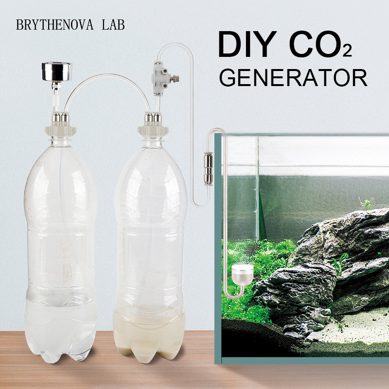 Aquarium Marine Plants - Generador de CO2 para Acuarios Plantados,