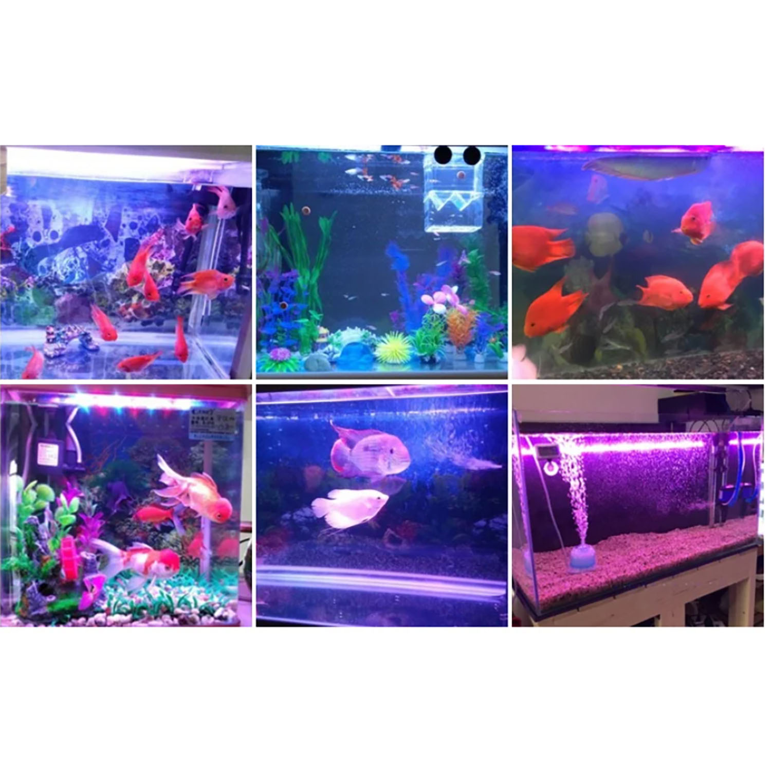 Marine Aquarium Uv Light - Iluminación LED para Acuarios Marinos de