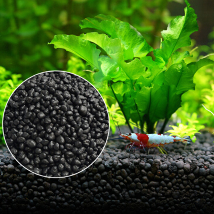 Aquarium Marine Plants - Semillas de plantas de Acuario, sustrato