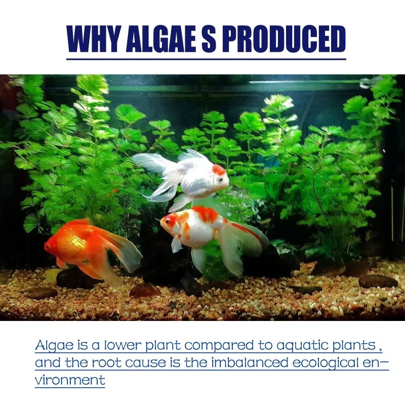Algaecida de Alta Eficiencia d - Aquarium Marine Plants reseña y precio