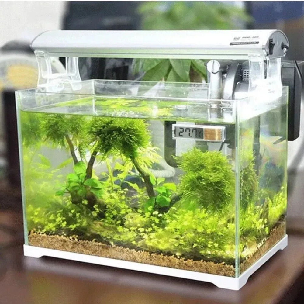 Termómetro de acuario electrón - Marine Aquarium Heater reseña y precio