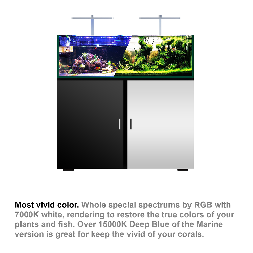 Bomba de Agua para Acuario XF3 - Marine Aquarium Wave Maker reseña y precio