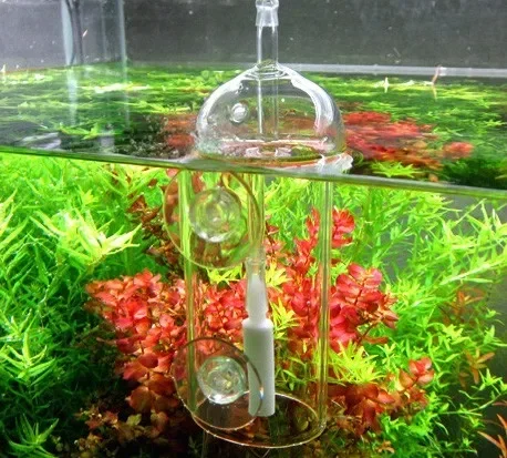 Dispositivo VIV Do, cilindro d - Aquarium Marine Plants reseña y precio