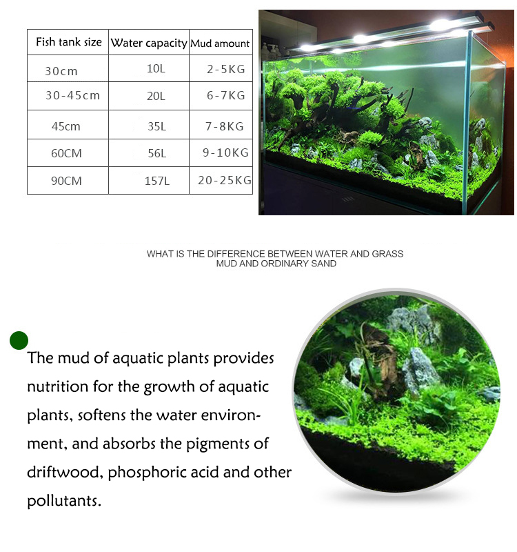 Semillas de plantas de Acuario - Aquarium Marine Plants reseña y precio